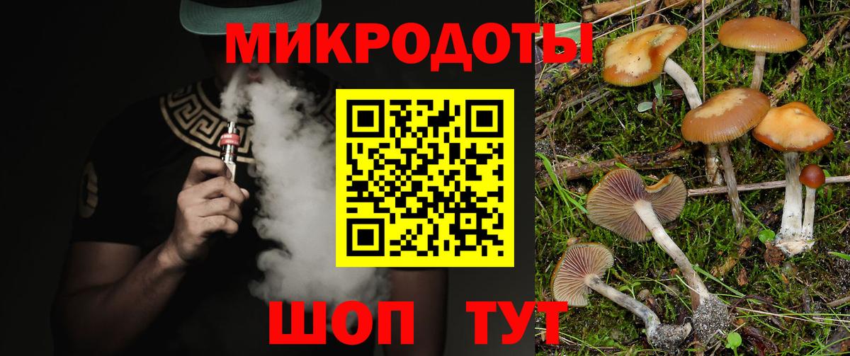 Галлюциногенные грибы MAGIC MUSHROOMS  Псилоцибиновые грибы Psilocybe  Вход с VPN  где купить наркотик  Еманжелинск 